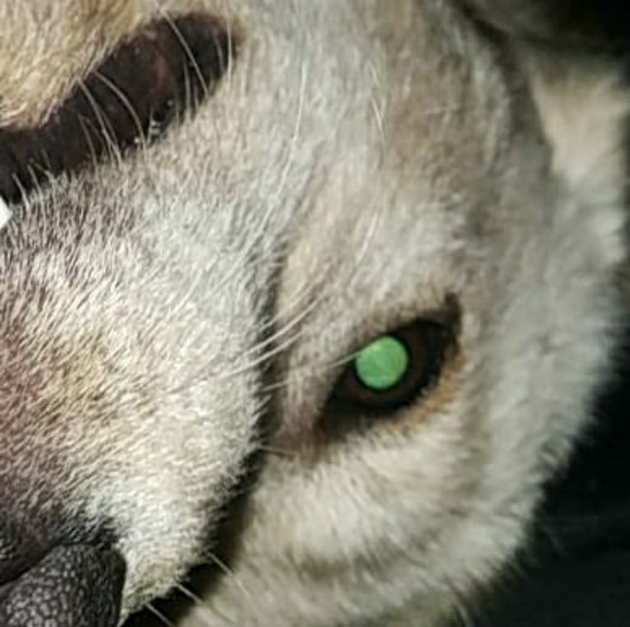 Meet your Posher, Jason - Picture 1 of 1